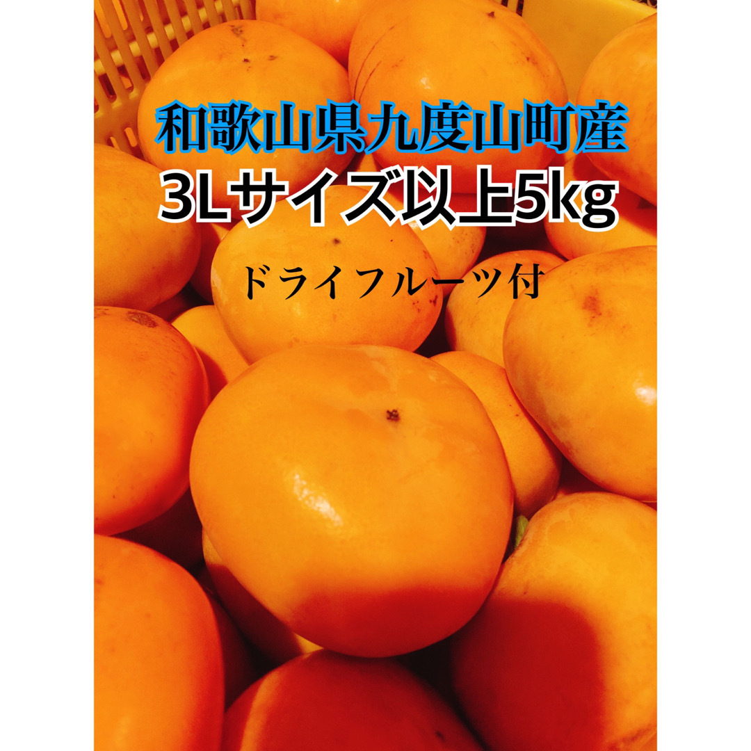 和歌山県九度山町産　日本一のたねなし柿　3L以上　ドライフルーツ付 食品/飲料/酒の食品(フルーツ)の商品写真