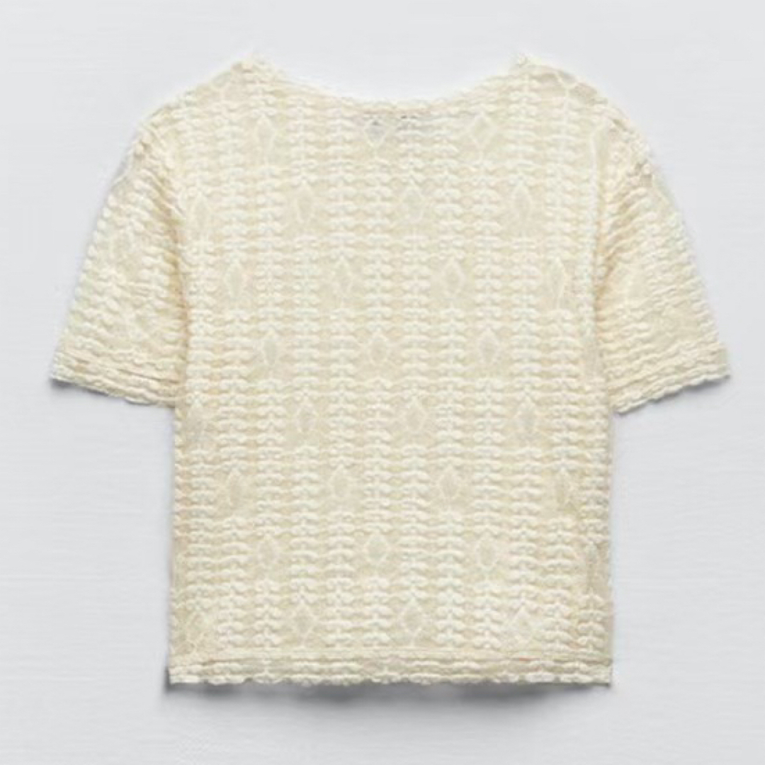 ZARA(ザラ)のZARA レースTシャツ　ホワイト　S レディースのトップス(Tシャツ(半袖/袖なし))の商品写真