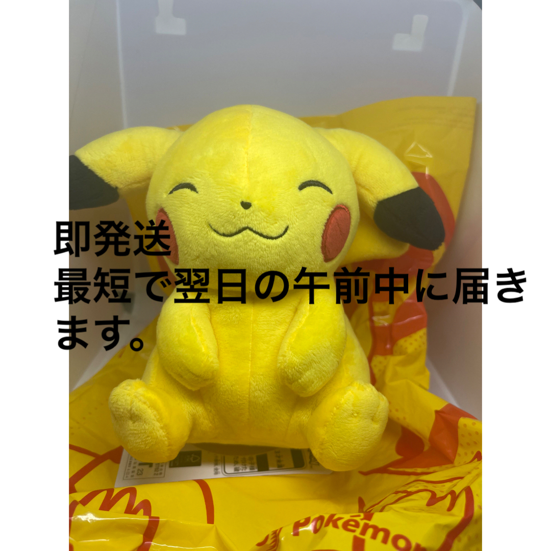 ポケモン　ポケセン　マイピカチュウ　メス　にっこり　小柄　たれみみ