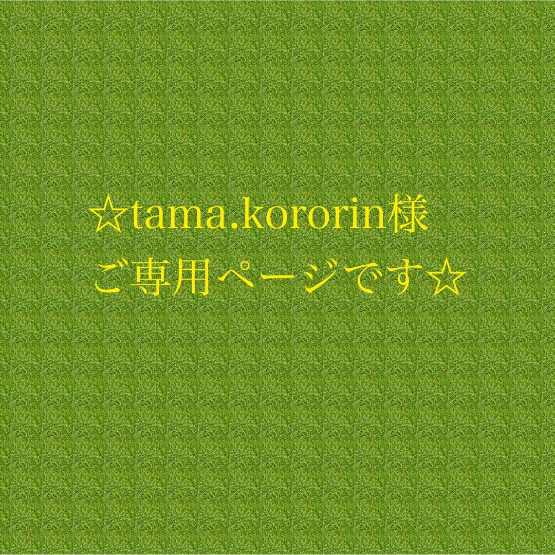 ☆tama.kororin様 ご専用ページです☆の通販 by miiyavi_stone｜ラクマ