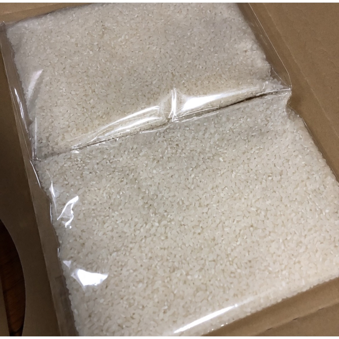 白米　兵庫県産きぬひかり　1kg 食品/飲料/酒の食品(米/穀物)の商品写真
