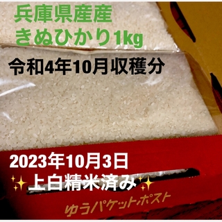 白米　兵庫県産きぬひかり　1kg(米/穀物)