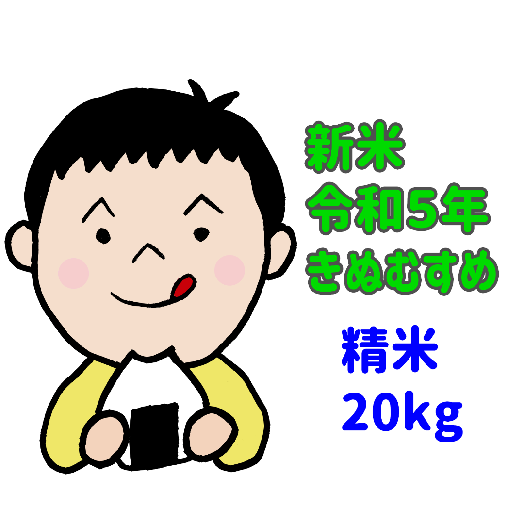 新米 岡山県産 きぬむすめ 精米 20kg 令和5年産 農家直送