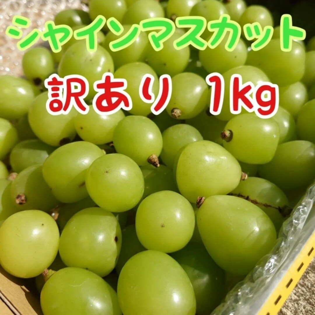 長野県産シャインマスカット　フルーツ　粒　２キロ