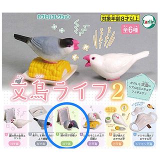 文鳥ライフ２〈鏡の前で羽繕い〉(その他)
