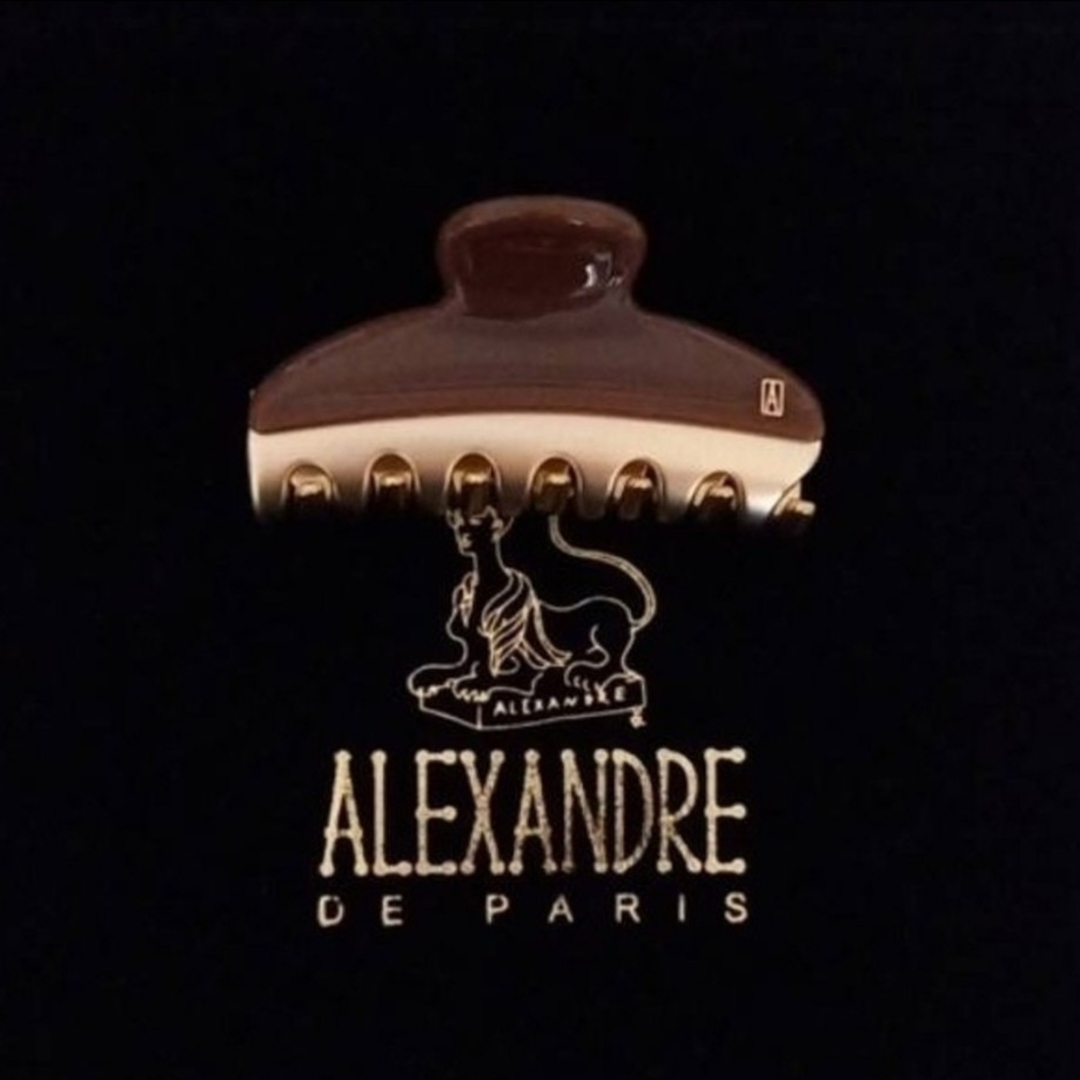 Alexandre de Paris(アレクサンドルドゥパリ)の新品☆アレクサンドル ドゥ パリ VENDOME CLIP M レディースのヘアアクセサリー(バレッタ/ヘアクリップ)の商品写真