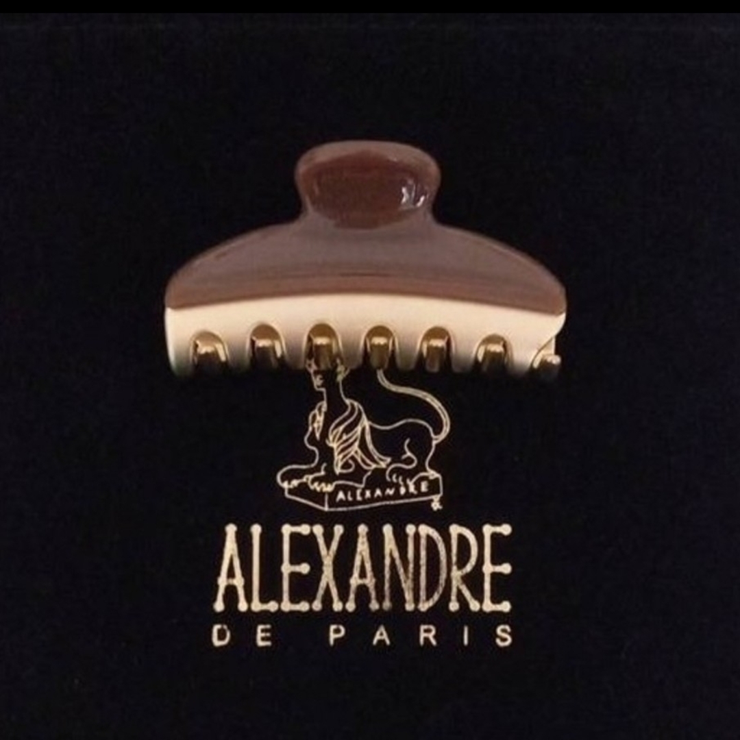 Alexandre de Paris(アレクサンドルドゥパリ)の新品☆アレクサンドル ドゥ パリ VENDOME CLIP M レディースのヘアアクセサリー(バレッタ/ヘアクリップ)の商品写真