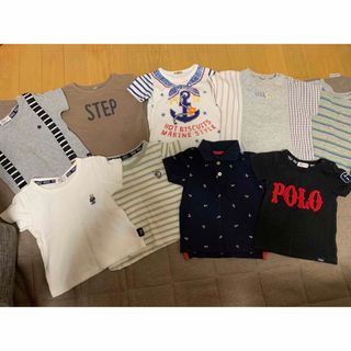 ホットビスケッツ(HOT BISCUITS)の【12枚まとめ売り】ホットビスケッツ POLO プティマイン 90 95 100(Tシャツ/カットソー)