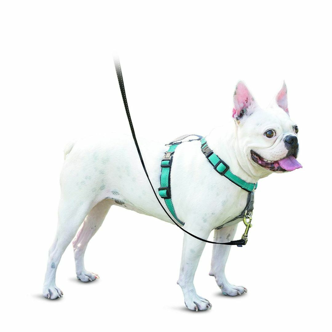 色: ティール(グリーン)】PetSafe 3 in 1 犬 ハーネス 小型犬の通販 by ...
