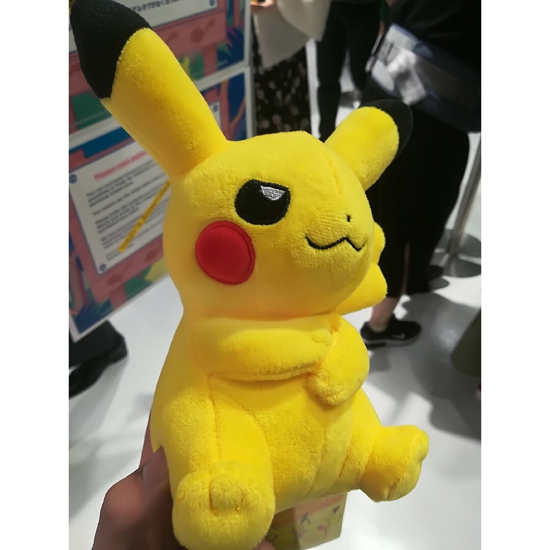 ポケモンセンター　マイピカチュウ　キャプテン　メス　レア