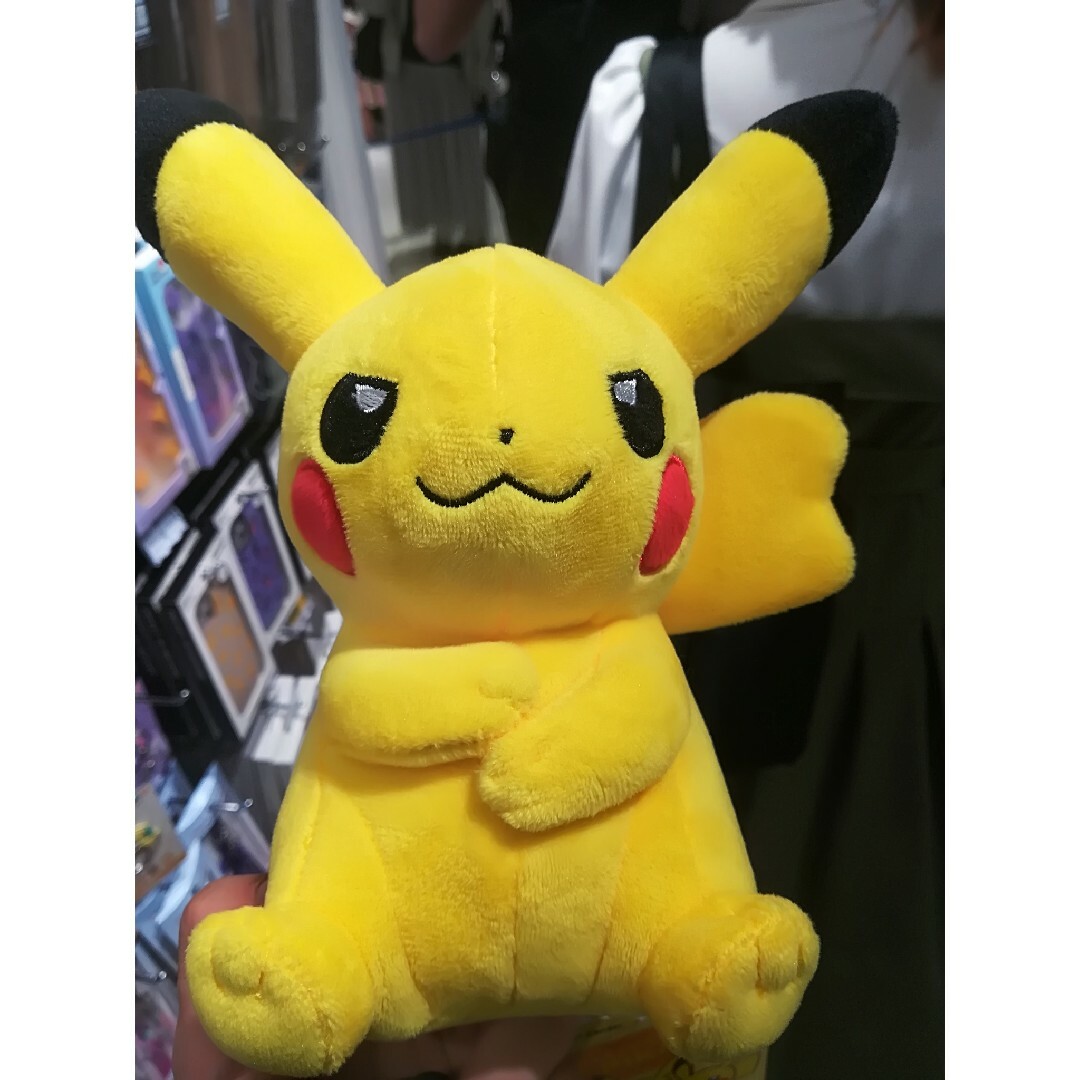 ✨レア✨ MY PIKACHU マイピカチュウ ぬいぐるみ