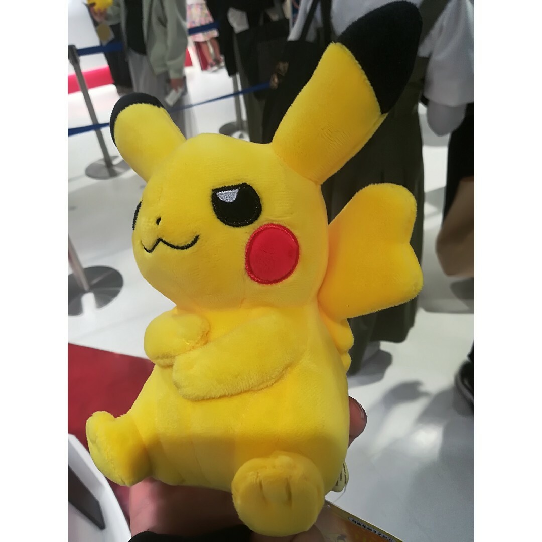 激レア】マイピカチュウ My PIKACHU キリリ目 ドヤ顔 メス 腕組み-