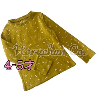 ネクスト(NEXT)の●未使用●4-5才　グリーン　花柄　ポインテール　フリル襟　トップス(Tシャツ/カットソー)