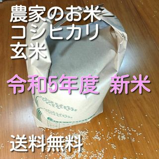 農家のお米 新米 令和5年度 コシヒカリ 玄米 約5kg 送料無料(米/穀物)