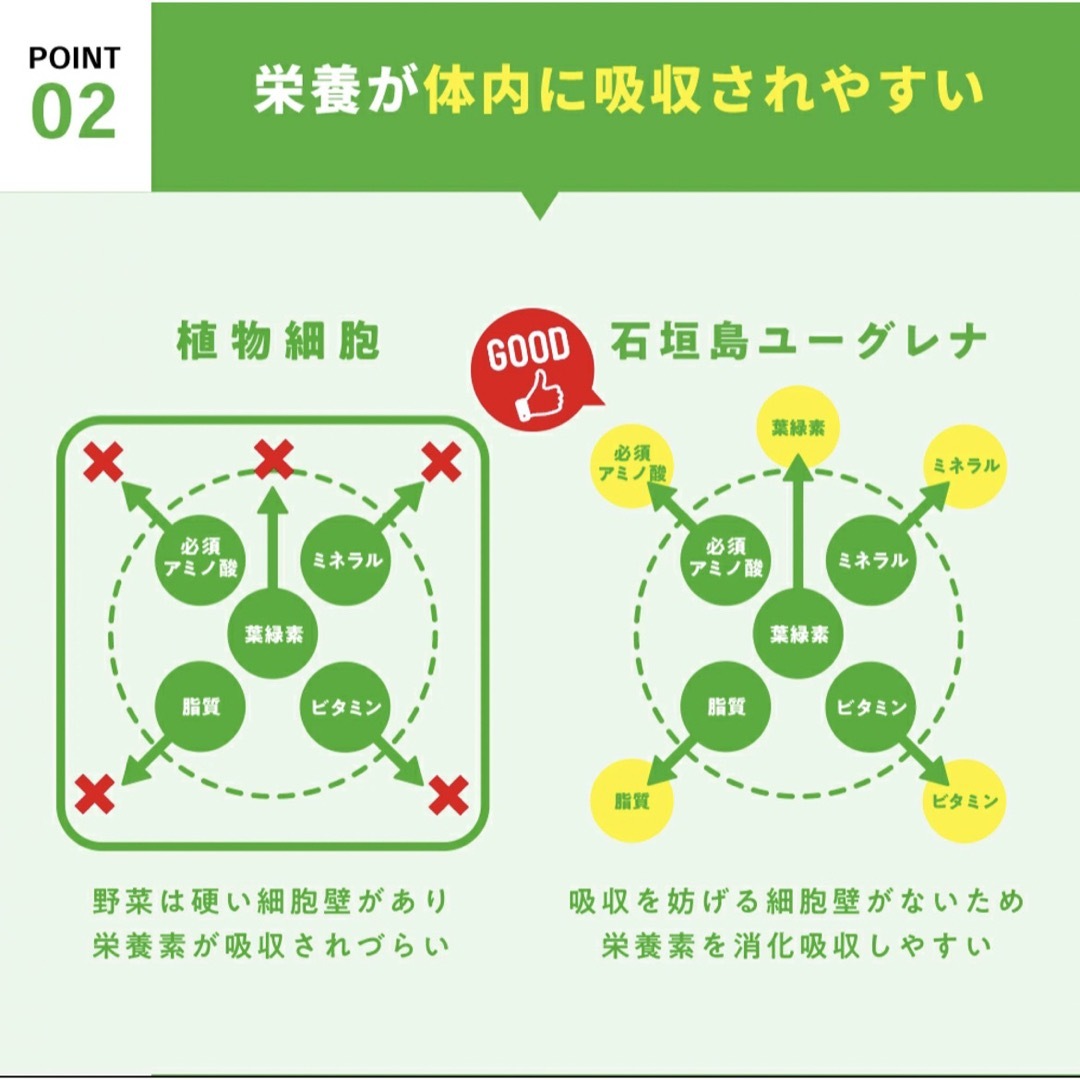 からだにユーグレナ 3箱 60本 青汁 グリーンパウダー ケール ユーグレナ 食品/飲料/酒の健康食品(青汁/ケール加工食品)の商品写真