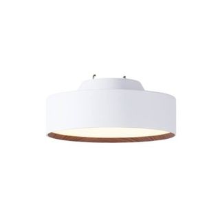 ARTWORKSTUDIO  Glow mini LED-ceilinglamp(天井照明)