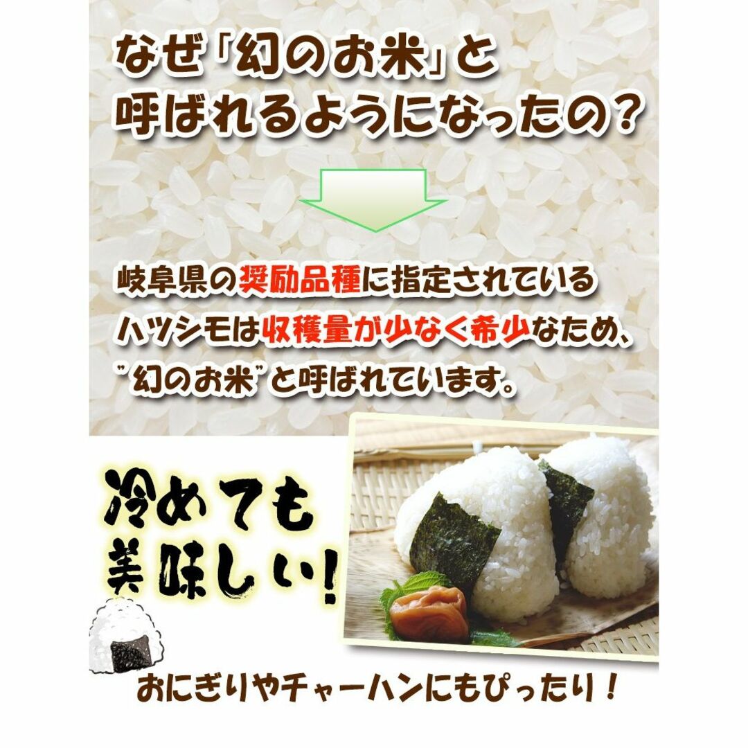 ブランド米　令和５年度『岐阜ハツシモ』新米 玄米(精米も可)　30kg　送料無料 食品/飲料/酒の食品(米/穀物)の商品写真