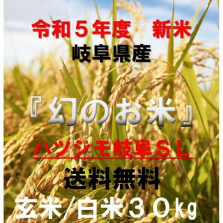 ブランド米　令和５年度『岐阜ハツシモ』新米 玄米(精米も可)　30kg　送料無料(米/穀物)