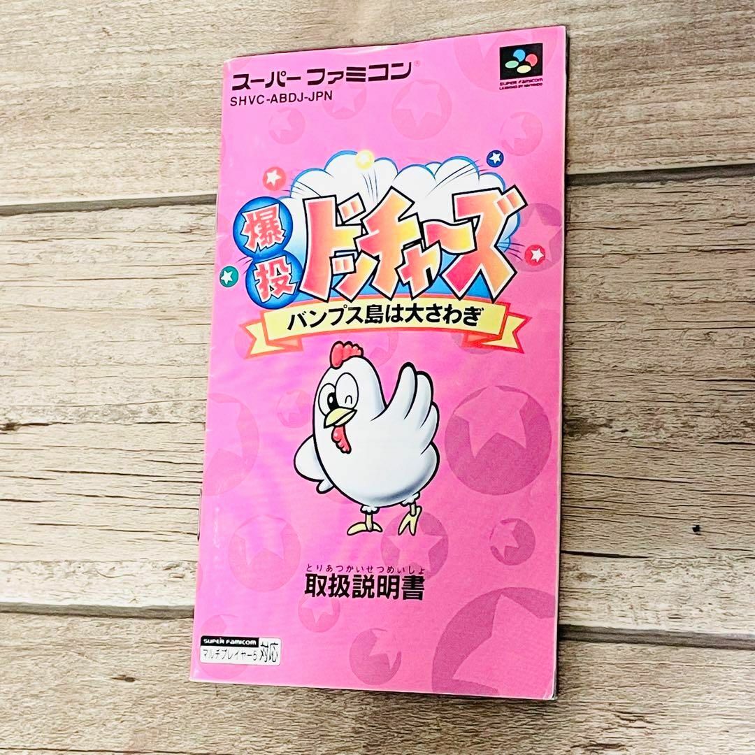 箱 説明書付き】爆投ドッチャーズ バンプス島は大さわぎ