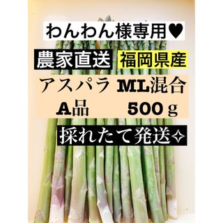 アスパラガス MLサイズ 即購入⭕️(野菜)