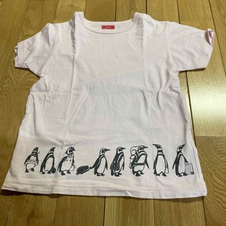 オジコ(OJICO)のオジコ　ペンギン　Tシャツ　サイズ10A 140 OJICO(Tシャツ/カットソー)