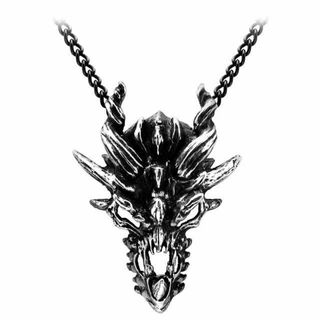 ALCHEMY GOTHIC: Dragon Skull Pendant(ネックレス)