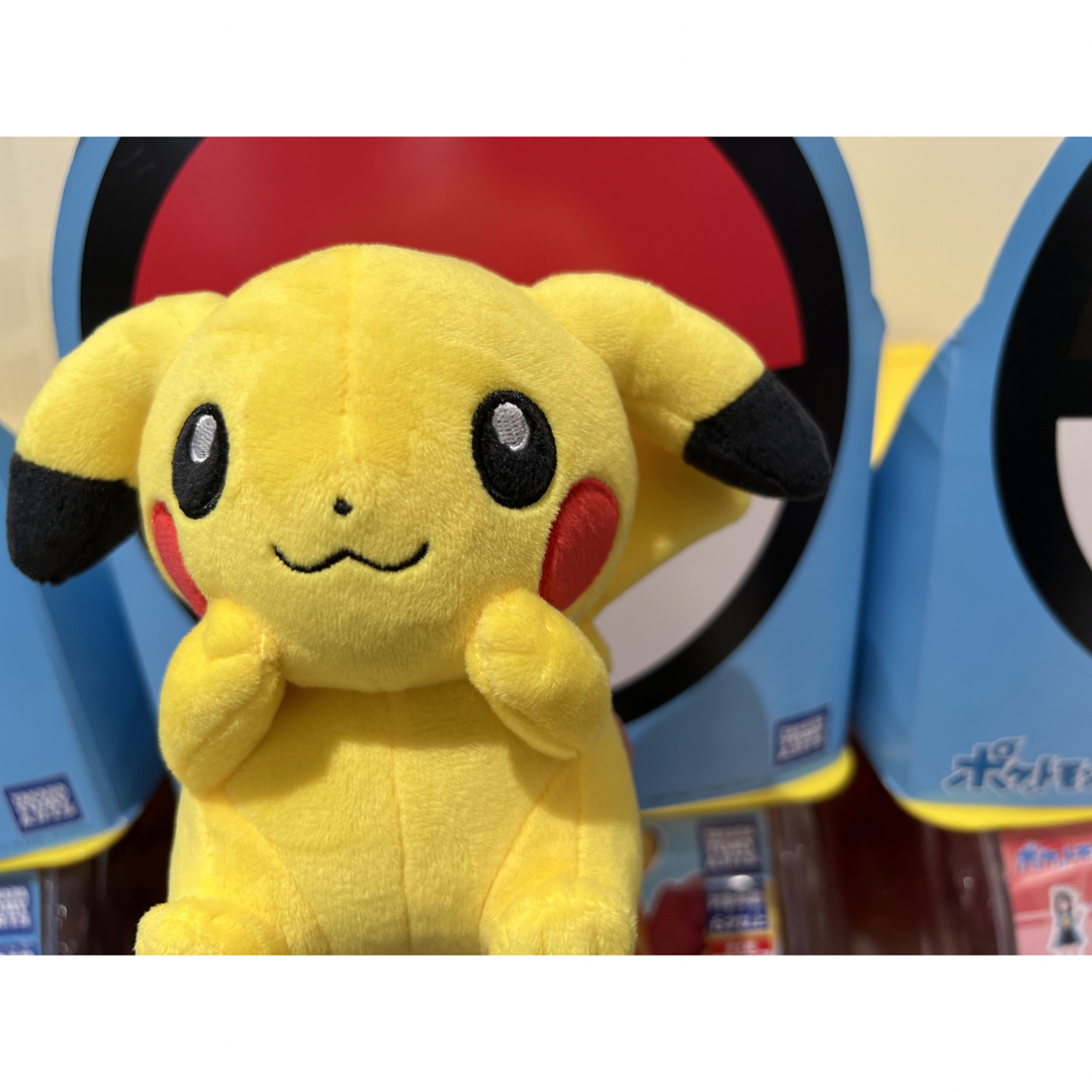 【たれ耳おてて上げ】 My PIKACHU マイピカチュウたれ耳