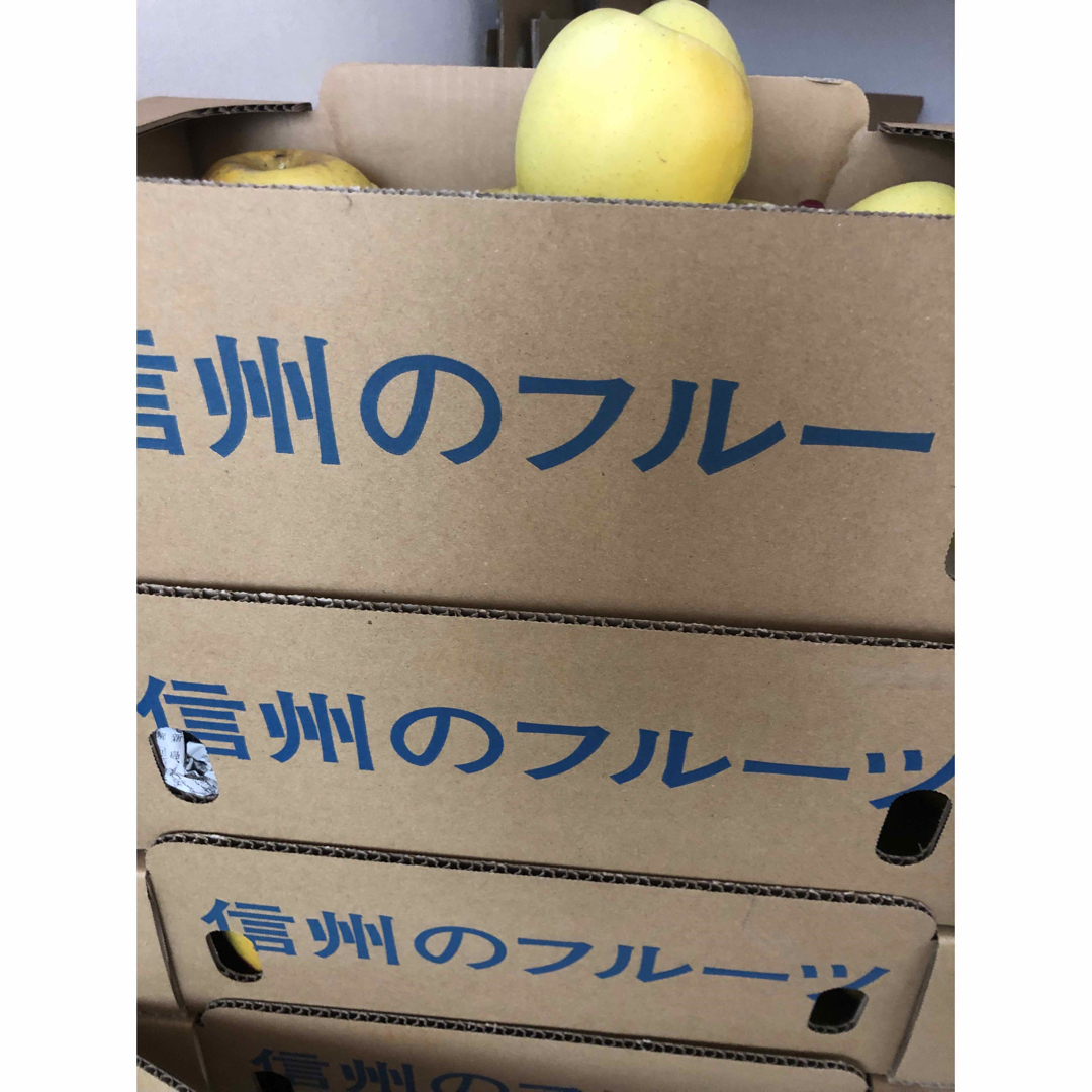 信州安曇野産　シナノゴールド 食品/飲料/酒の食品(フルーツ)の商品写真