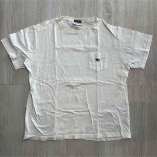 ラコステ(LACOSTE)のLACOSTE 半袖(Tシャツ/カットソー(半袖/袖なし))