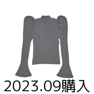 ハーリップトゥ(Her lip to)のVolume Sleeve Rib Knit Top ニット　グレー(ニット/セーター)