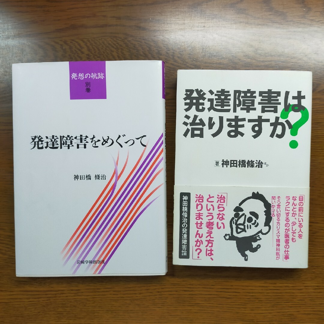 神田橋條治 著者 2冊セット