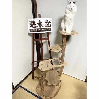 ●オーダー可能　オリジナル　手作り　天然木　キャットタワー　(猫)