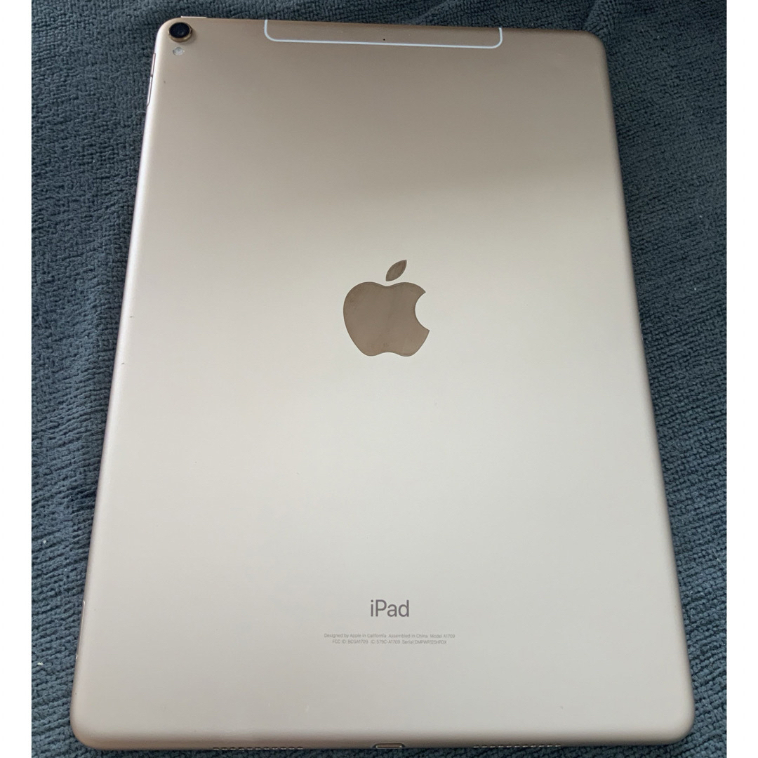 AppleIPAD PRO 10.5 256GB透明カバーと画面保護シールおまけ