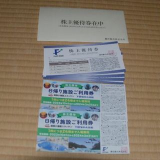 藤田観光　株主優待　日帰り施設ご利用券2枚ほか（ラクマパック配送）(遊園地/テーマパーク)