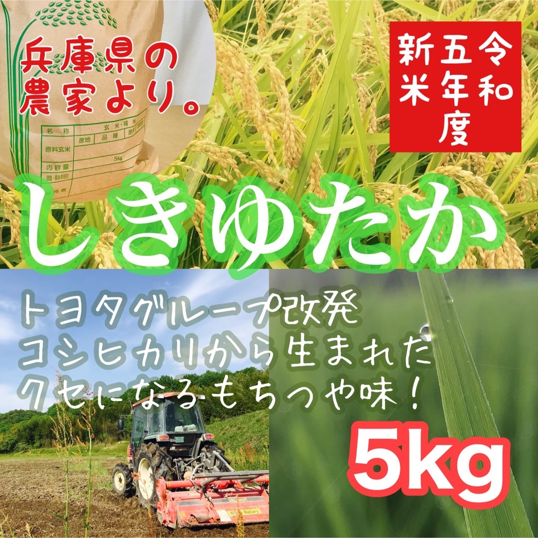 レア品種 シキユタカ兵庫県産新米＊湧き水育ち農家のお米 の通販