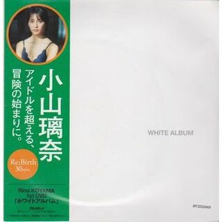 ◆新品!★DVD 小山璃奈『WHITE ALBUM』☆週刊プレイボーイ付録◆(その他)