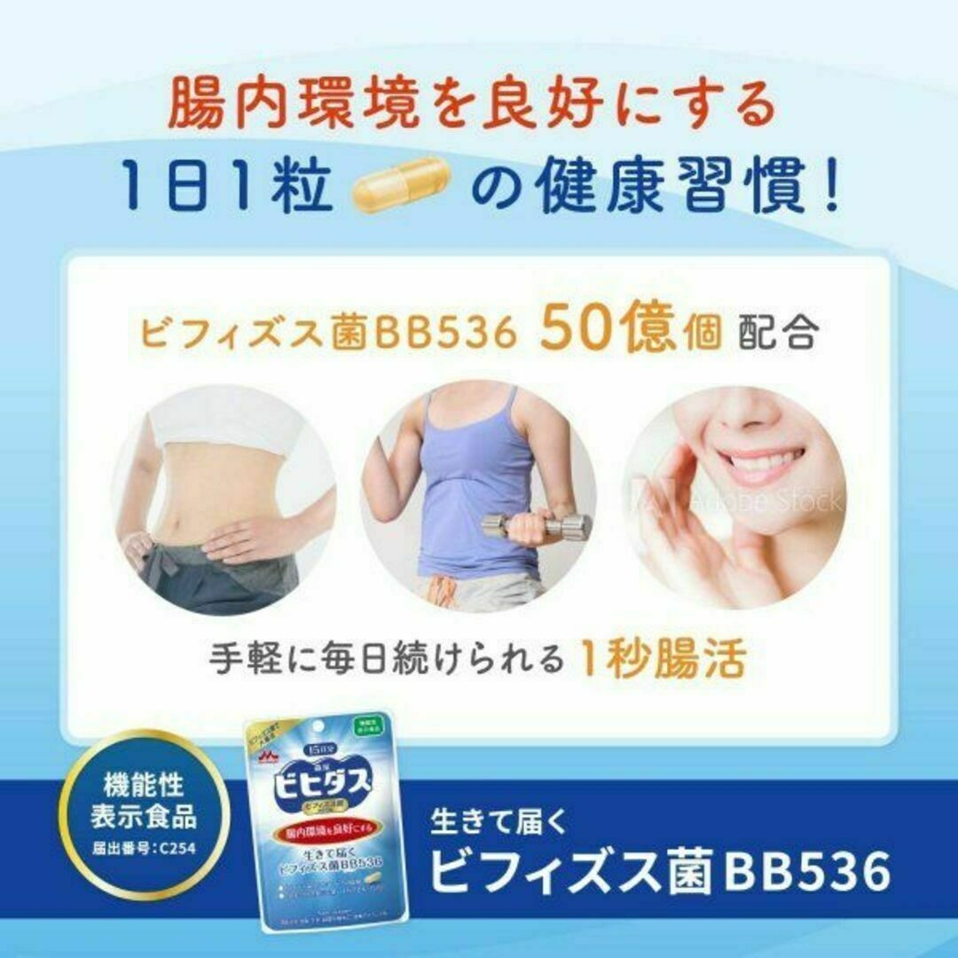 【6袋】森永 ビヒダス 生きて届く ビフィズス菌 BB536 機能性 ヨーグルト 2