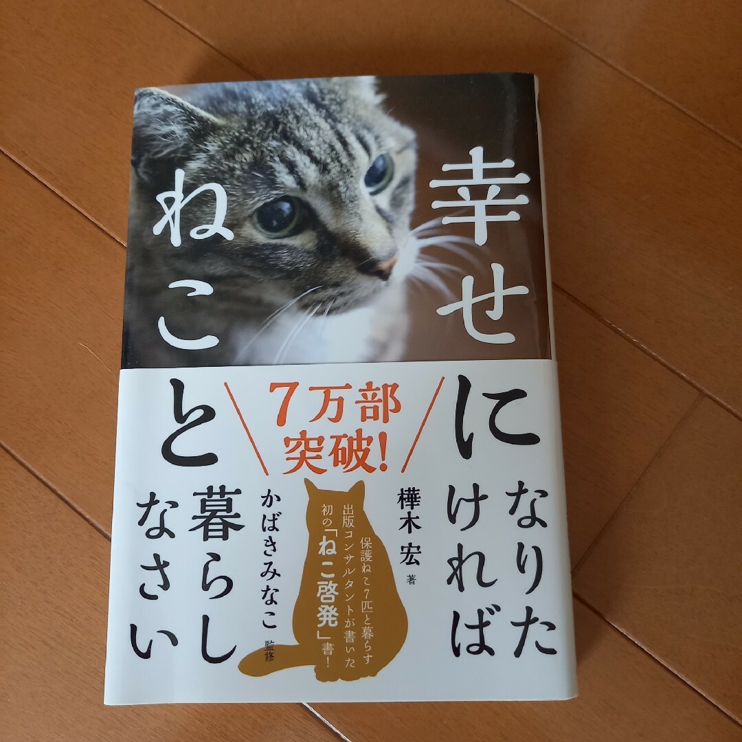 猫の本 エンタメ/ホビーの本(文学/小説)の商品写真