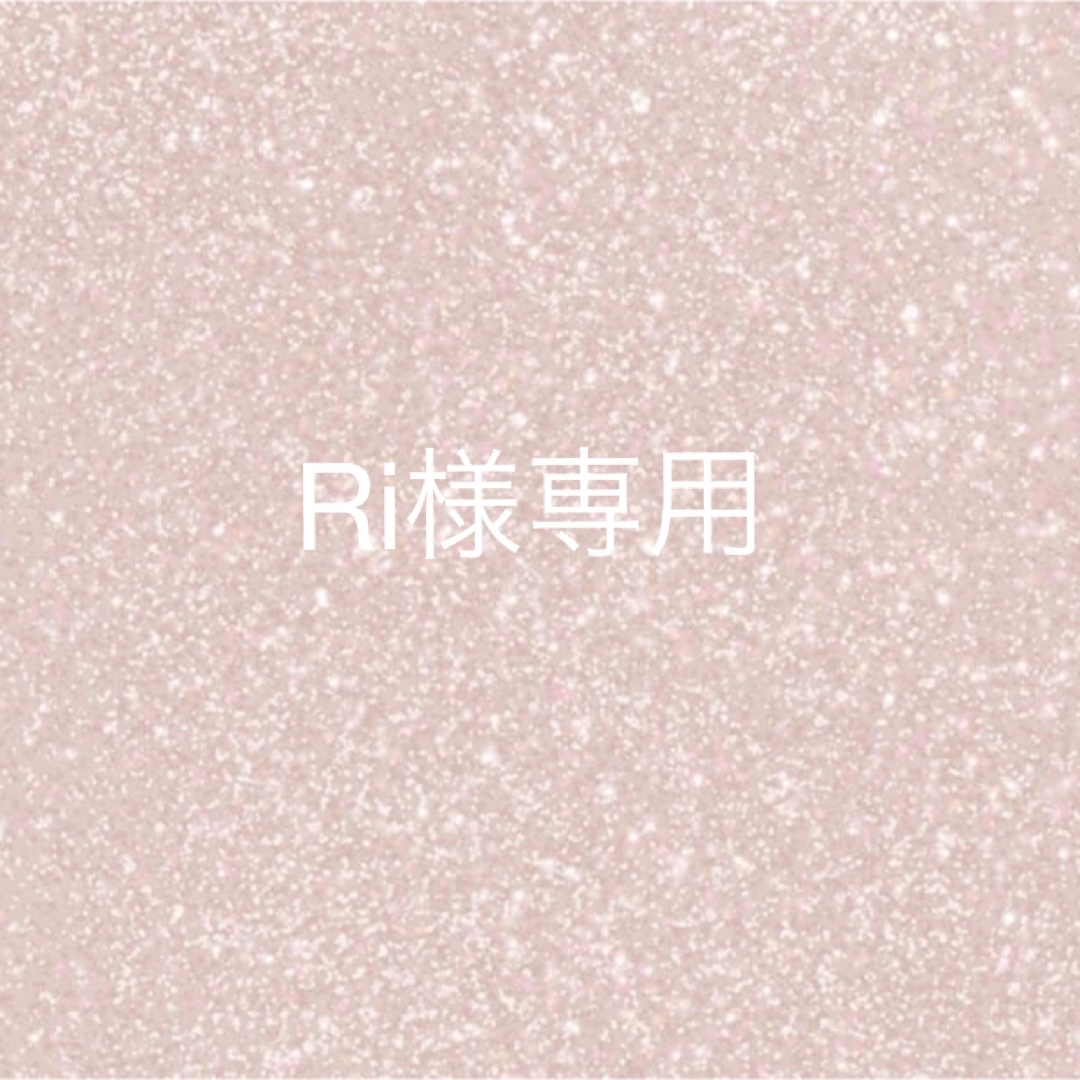 Ri様専用 ハンドメイドのアクセサリー(ネイルチップ)の商品写真