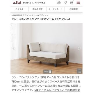 あかね87様専用】ラン・コンパクトソファ(ヒヤシンス)別売ショルダー