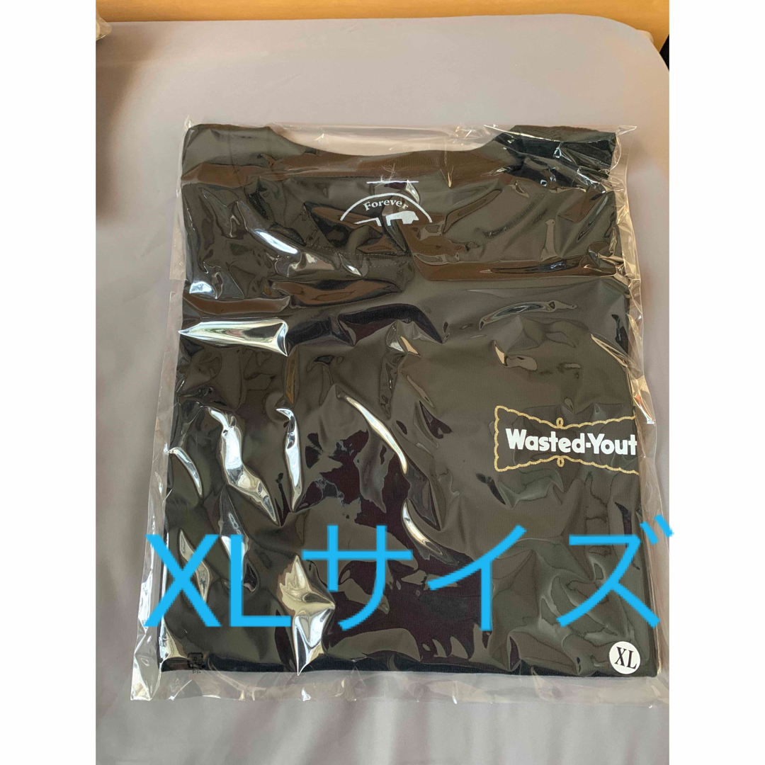 wasted youth ハーゲンダッツ verdy tシャツ メンズのトップス(Tシャツ/カットソー(半袖/袖なし))の商品写真