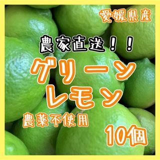 愛媛県産 農薬不使用 グリーンレモン10個 国産レモン 果物 国産(フルーツ)