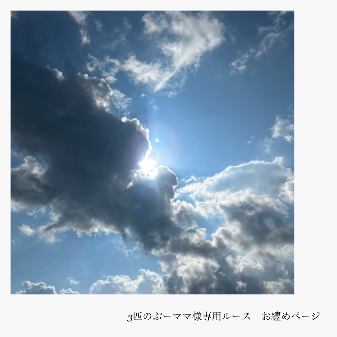 3匹のぷーママ様専用』ルースお纏めページ 3匹のぷーママ様専用』ルースお纏めページ