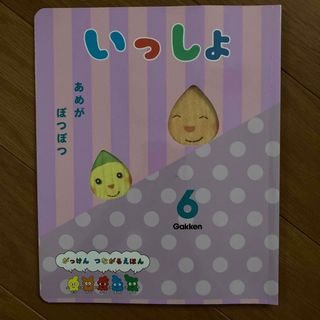 ガッケン(学研)のいっしょ　6月号(絵本/児童書)