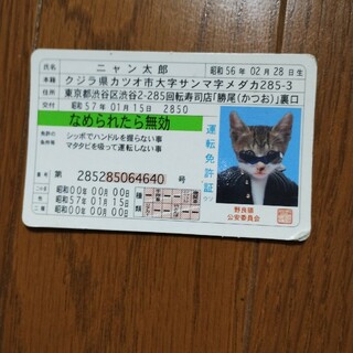 なめ猫免許証(キャラクターグッズ)