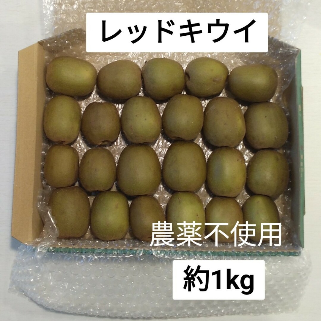 レッドキウイ　約1kg　農薬不使用 食品/飲料/酒の食品(フルーツ)の商品写真