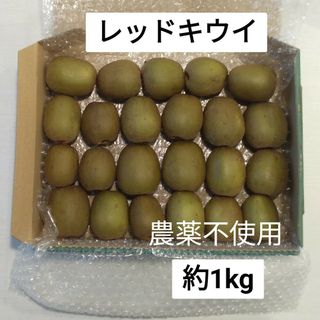 レッドキウイ　約1kg　農薬不使用(フルーツ)