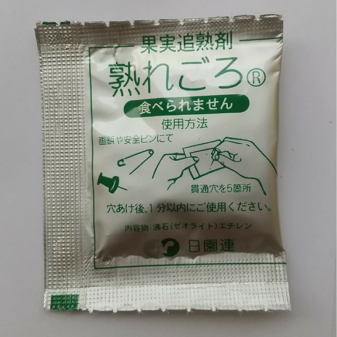 レインボーレッドキウイ　中玉　16個 食品/飲料/酒の食品(フルーツ)の商品写真