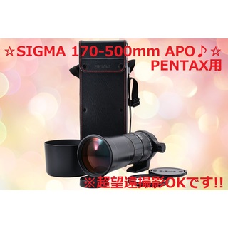 ペンタックス(PENTAX)の超望遠 PENTAX 用 SIGMA  APO 170-500mm #6219(レンズ(ズーム))