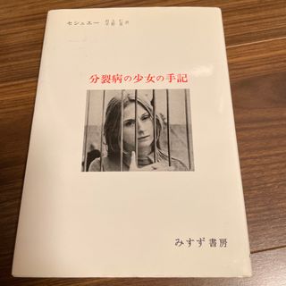 分裂病の少女の手記 心理療法による分裂病の回復過程 改訂(人文/社会)